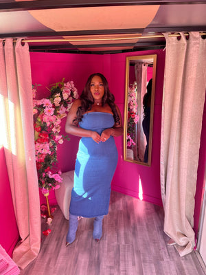 denim bae dress in dark wash